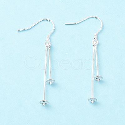 925 Sterling Silver Earring Hooks STER-P047-05S-1