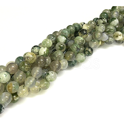 Natural Tree Agate Round Gemstone Beads Strands G-R255-8mm-1