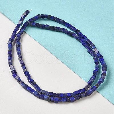 Natural Lapis Lazuli Dyed Beads Strands G-B064-A20-1