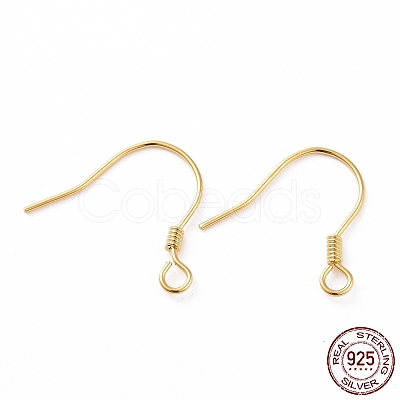 925 Sterling Silver Earring Hooks STER-D035-22G-1