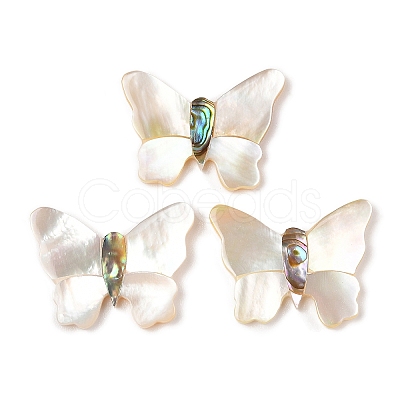 Natural White Shell & Paua Shell Cabochons SSHEL-I026-27-1