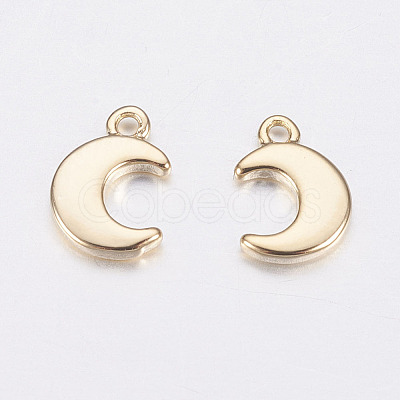 Long-Lasting Plated Brass Charms KK-F741-42G-1