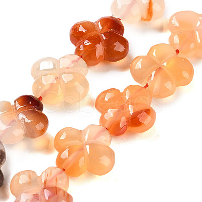 Natural Agate Beads Strands G-H024-C01-01-1