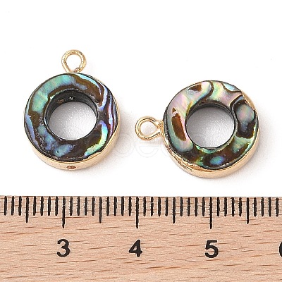 Natural Paua Shell Pendants SHEL-P017-18G-1