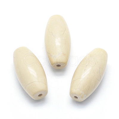 Natural Fossil Coral Beads G-P384-T15-1