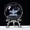 Carving Crystal Ball, Glass Sphere Decoration, with Platinum Tone Alloy Stand, Clear, Carousel, 60mm