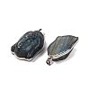 Natural Labradorite Carved Pendants G-B085-13P-2