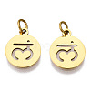 304 Stainless Steel Charms STAS-Q201-T446G-03-1