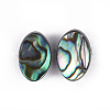 Abalone Shell/Paua Shell Beads Stud Earrings EJEW-JE03352-1