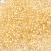 6/0 Transparent Glass Seed Beads SEED-F003-03A-14-3