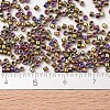 MIYUKI Delica Beads Small SEED-JP0008-DBS0029-4