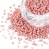 12/0 Glass Seed Beads SEED-S005-20-1