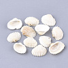 Spiral Shell Charms SSHEL-S251-14-1