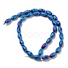 Spray Painted Synthetic Turquoise Beads Strands G-E617-B07-03A-3