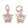 Brass Micro Pave Cubic Zirconia Charms ZIRC-F111-15-3