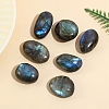 Natural Labradorite Figurines for Home Desktop Decoration PW-WG12971-02-1