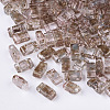 2-Hole Transparent Glass Seed Beads SEED-S023-30B-15-1