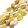 Natural Yellow Opal Beads Strands G-K245-L01-01-1