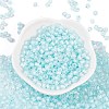 Glass Seed Beads SEED-A032-05C-2