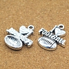 Tibetan Style Alloy Pendants RUFO-PW0001-005AS-2