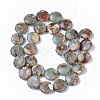 Natural Aqua Terra Jasper Beads Strands G-S366-014-2
