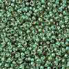 MIYUKI Round Rocailles Beads X-SEED-G007-RR0374-3