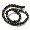 Natural Bronzite Beads Strands G-D081-A11-02-3