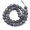 Natural Labradorite Beads Strands G-N328-011C-2