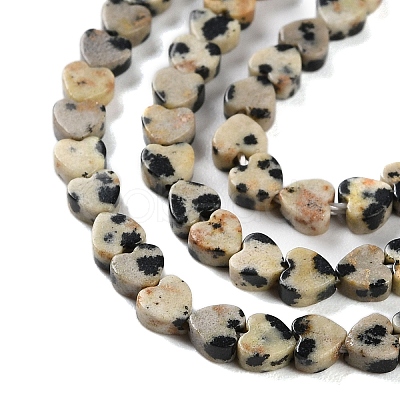 Natural Dalmatian Jasper Beads Strands G-M403-A31-01-1
