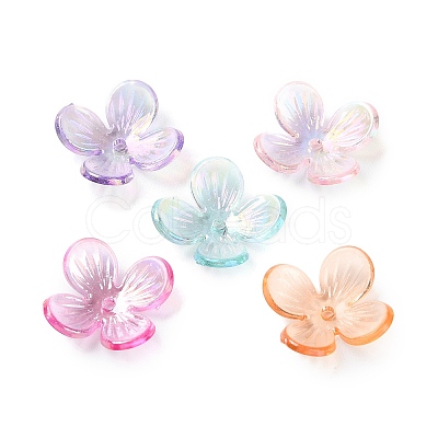 Transparent Acrylic Beads Caps SACR-A006-11-1