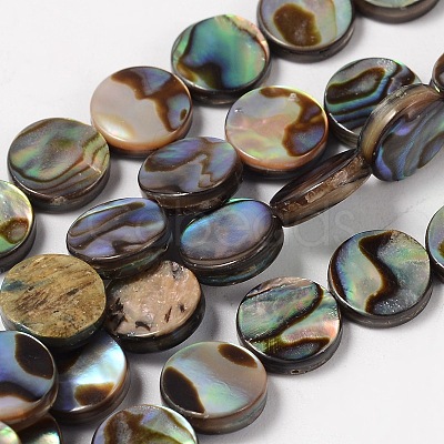 Natural Abalone Shell/Paua Shell Beads Strands SHS014-01-1