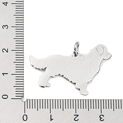 304 Stainless Steel Pendants X-STAS-E205-10P-1