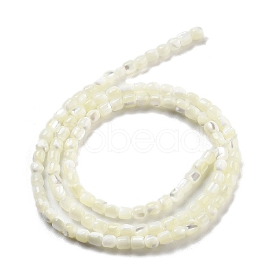 Natural Trochid Shell/Trochus Shell Beads Strands BSHE-G038-01-1