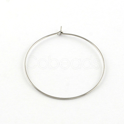 Tarnish Resistant 304 Stainless Steel Earring Hoop X-STAS-R083-01-1