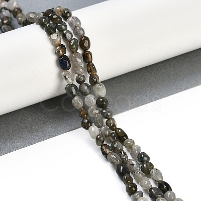 Natural Labradorite Beads Strands G-P497-01B-03-1