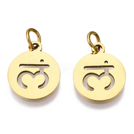 304 Stainless Steel Charms STAS-Q201-T446G-03-1