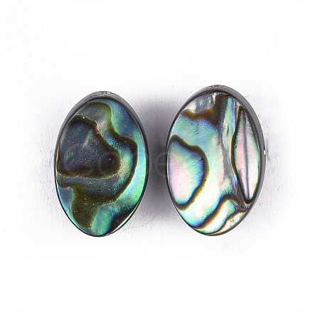 Abalone Shell/Paua Shell Beads Stud Earrings EJEW-JE03352-1