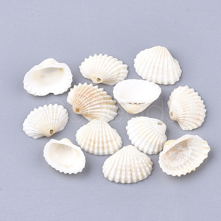 Spiral Shell Charms SSHEL-S251-14-1