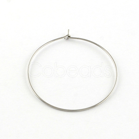 Tarnish Resistant 304 Stainless Steel Earring Hoop X-STAS-R083-01-1