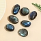 Natural Labradorite Figurines for Home Desktop Decoration, Oval, 25~45mm