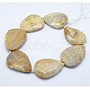 Natural Fossil Coral Beads Strands G-K180-F03-2