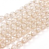 Electroplate Glass Beads Strands EGLA-L018-A-PL01-1