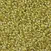 TOHO Round Seed Beads SEED-TR11-0295-2