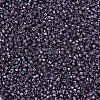 MIYUKI Delica Beads X-SEED-J020-DB0279-3
