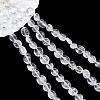  2 Strands Natural Quartz Crystal Beads Strands G-NB0004-28-6