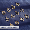 SUPERFINDINGS 12Pcs 12 Style Brass Charms KK-FH0004-40-4