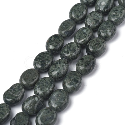 Natural Crocodile Skin Jasper Beads Strands G-Z006-A05-1