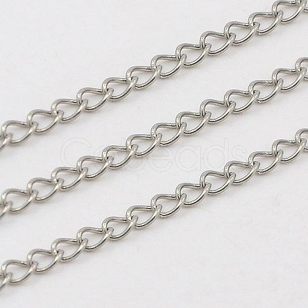304 Stainless Steel Twisted Chains Curb Chains CHS-K001-24-2.5mm-1
