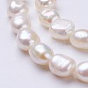 Natural Cultured Freshwater Pearl Beads Strands PEAR-P002-01-3
