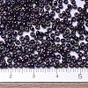 MIYUKI Round Rocailles Beads SEED-JP0008-RR0454-4